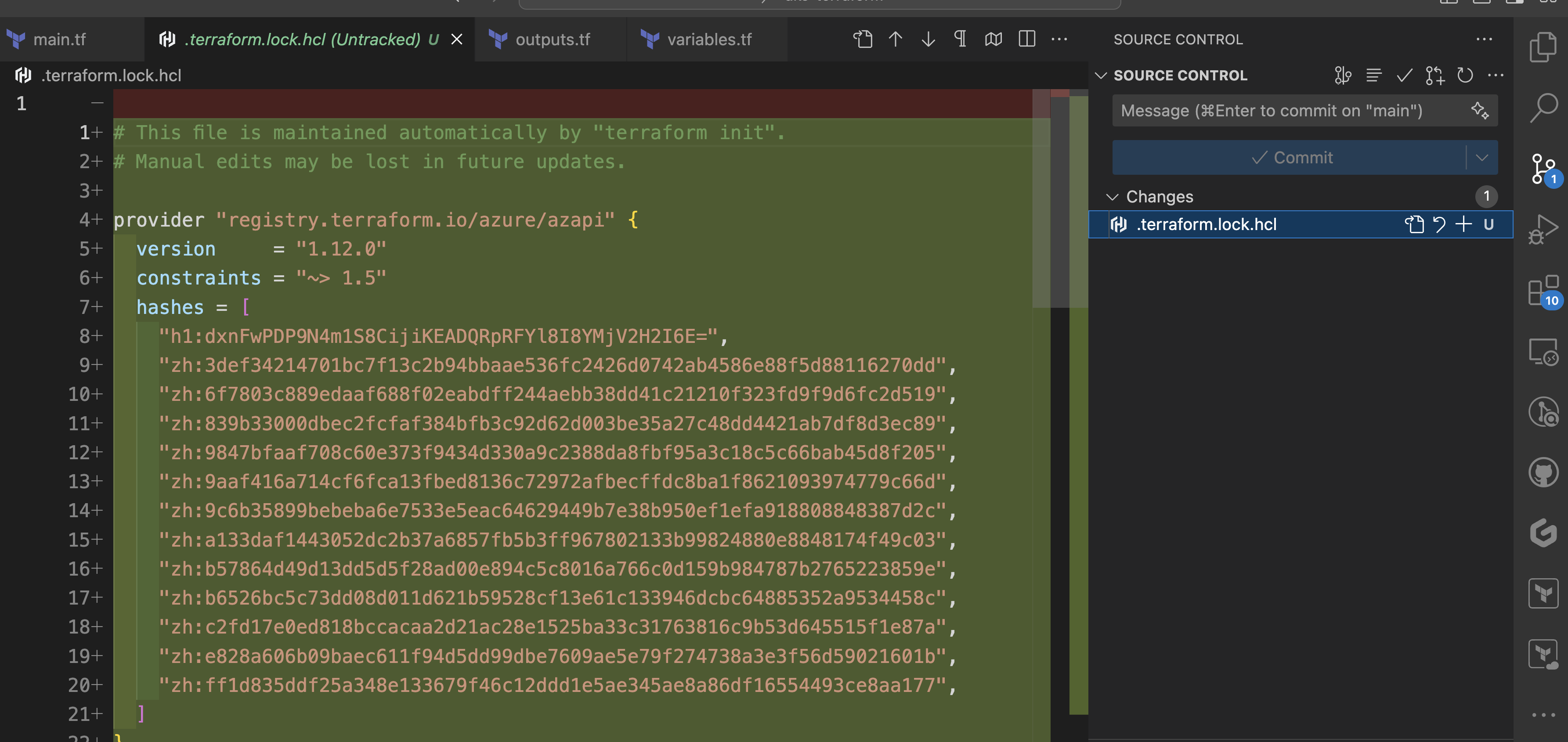 .terraform.lock.hcl file in VSCode, ready to be committed to repository