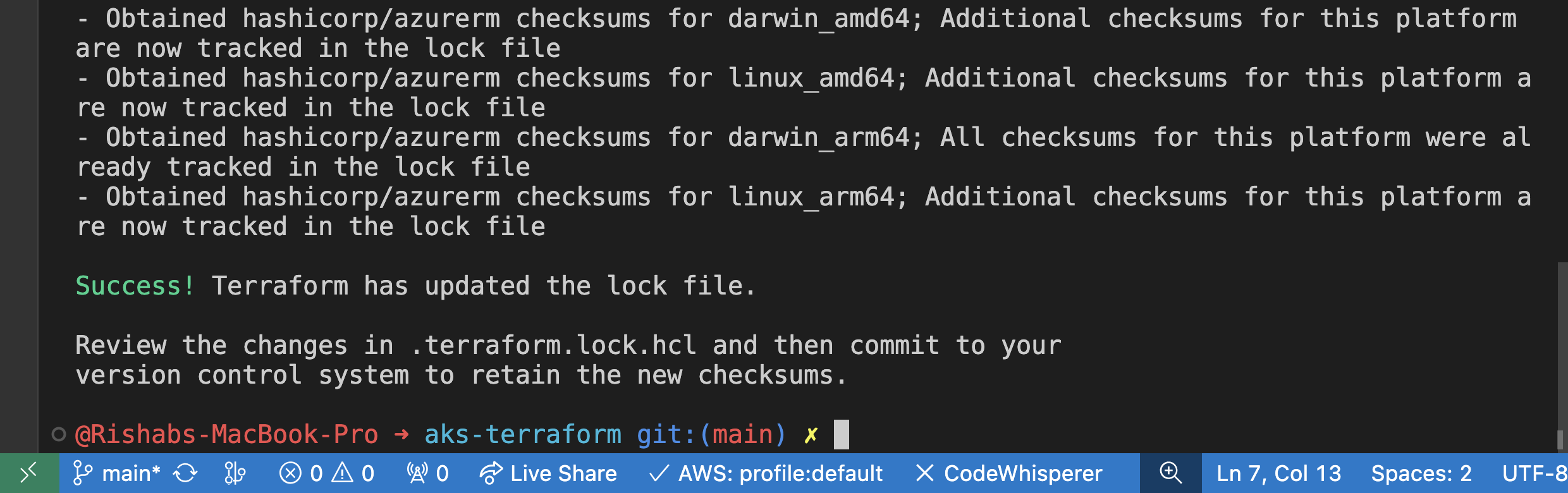 Output after the terraform provider lock command is run successfully.